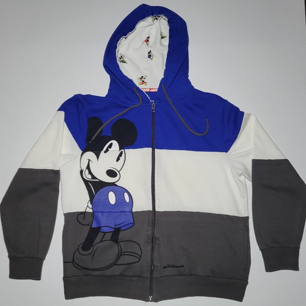 DisneyLand Parks Womens Blue Gray and White Full Zip Hooded Jacket Size XL